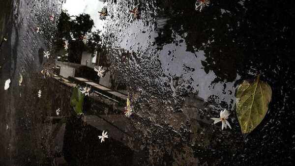 Lluvias para este martes en gran parte del país
