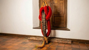 Visita guiada por la muestra del Premio Henri Matisse con las ganadoras