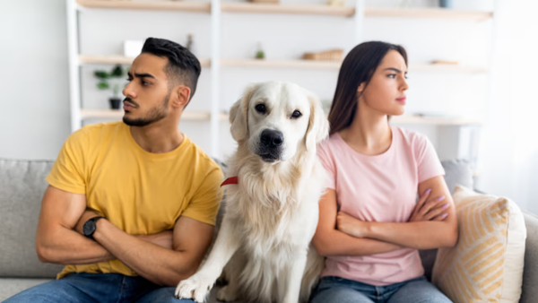 Custodia compartida: En Brasil dan solución a peleas por las mascotas