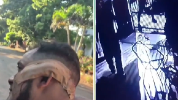 "Traición ete": Por celos, hirió a su primo con un machetillo