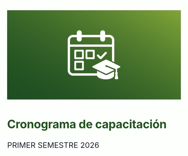 Abren convocatoria a cursos gratuitos para funcionarios públicos en el primer semestre de 2026 » San Lorenzo PY