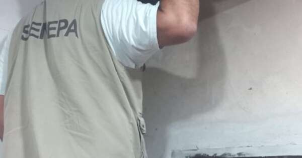 La Nación / Itapúa: amplían control larvario ante riesgo de enfermedades transmitidas por mosquitos