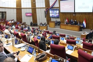 Diputados rechazan plan del Senado para modificar la gestión de Hambre Cero - ADN Digital
