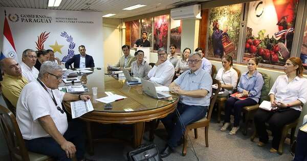 La Nación / Analizan hoja de ruta para el fortalecimiento de ferias de agricultura familiar hasta 2030