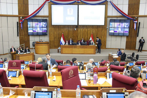 Diputados rechazan traslado de Hambre Cero al Ministerio de Desarrollo Social - El Trueno