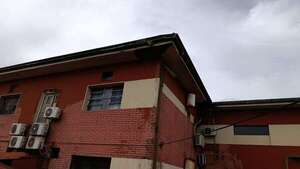 Invasión de abejas en Hospital Regional de CDE: piden extremar cuidados - ABC en el Este - ABC Color