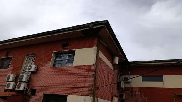 Invasión de abejas en Hospital Regional de CDE: piden extremar cuidados - ABC en el Este - ABC Color