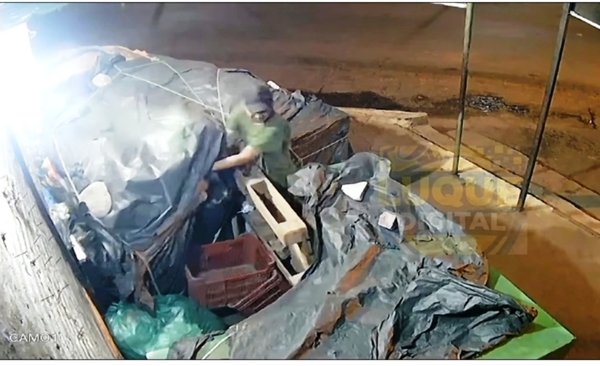 Ni las yuyeras se salvan en Luque •