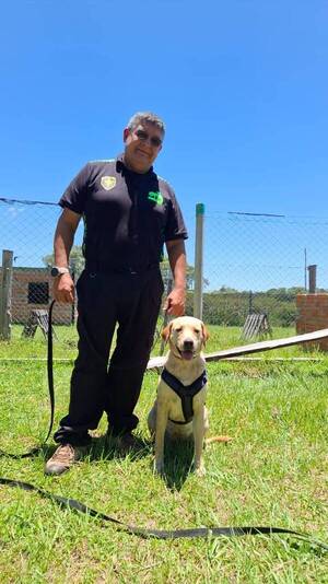 Ataque mortal de Pitbull: Revelan qué pudo pasar