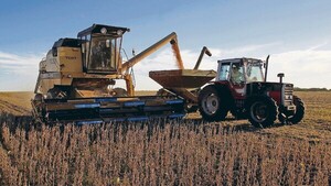 Guerra prolongada aumenta costos e inquieta a sojeros