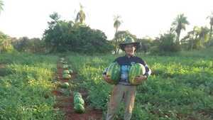 Joven pareja cosechó sandías fuera de época en Misiones