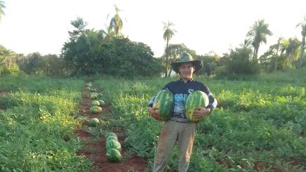 Joven pareja cosechó sandías fuera de época en Misiones