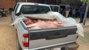 Incautan más de 600 kilos de carne transportada de forma irregular en Concepción - Concepción al Día
