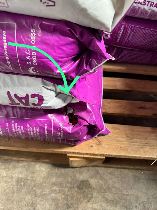 Clausuran supermercado en Villa Elisa por graves fallas sanitarias