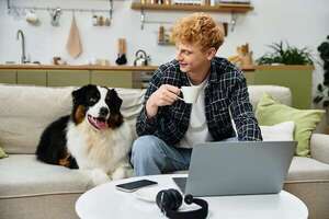 Perros en home office: cómo convertirlos en el “compañero de oficina” ideal  - Mascotas - ABC Color