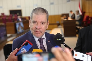 Senador tildó de «muy verde» a Riquelme para aspirar a la Presidencia