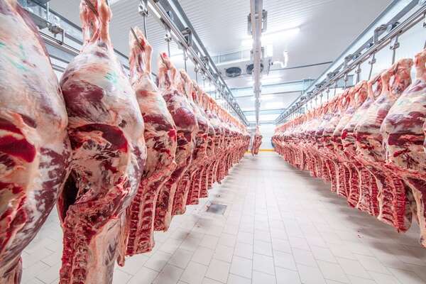 AUDIO: Bajan faena y exportación de carne: esto dicen desde el Senacsa  - A La Gran 7-30 - ABC Color