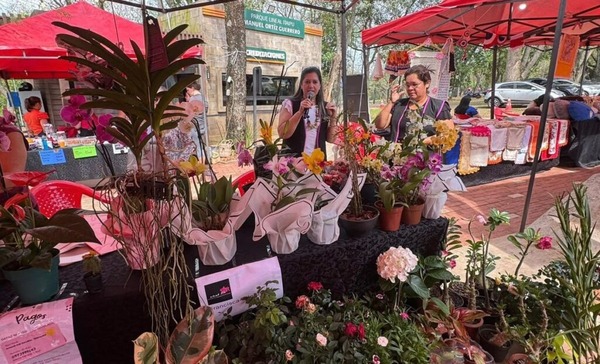 Orquidófilos preparan exposición para agasajar a las madres - ADN Digital