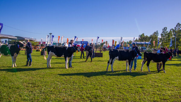 La Expo Pioneros del Chaco anuncia una nueva Rueda de Negocios Ganaderos - 5Días