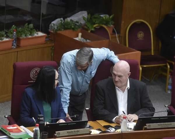 Kobylansky amenaza con demanda y Celeste lo compara con una mosca - Política - ABC Color