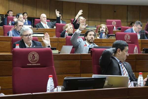 Sobrecosto de la carne queda sin quórum en el Senado  - Política - ABC Color