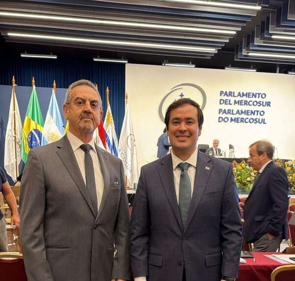 HC cambia a los “barrabravas” Yamil Esgaib y Rodrigo Gamarra, sus exvicelíderes en Diputados - Política - ABC Color