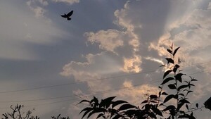 Amanecer fresco y lluvias dispersas en sectores del país