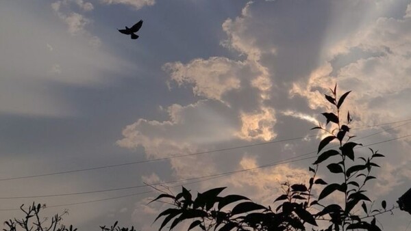 Amanecer fresco y lluvias dispersas en sectores del país
