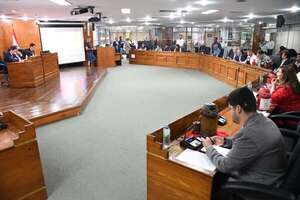 Asunción: Junta aprobó “préstamo” de agentes de PMT a Opaci, a pedido de Bello - Nacionales - ABC Color