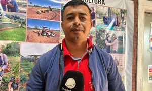 Inicia la temporada de producción de papa y cebolla en Coronel Oviedo con respaldo municipal - OviedoPress