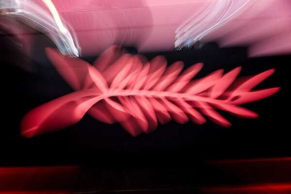 Almodóvar, Kore-Eda o Farhadi competirán por la Palma de Oro de Cannes - Mundo - ABC Color