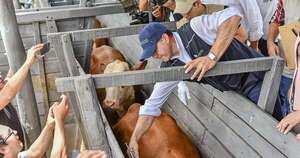 Reafirman importancia de sostener estrategia sanitaria ante brote global de aftosa