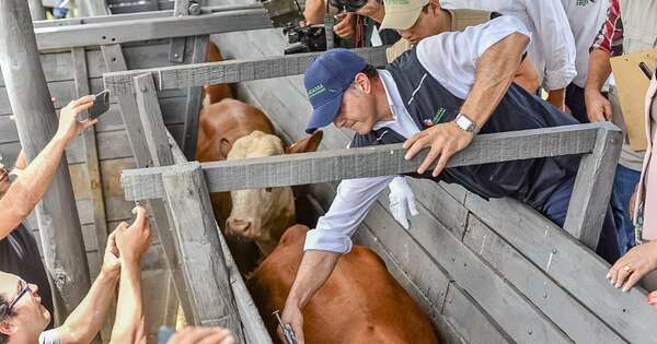 Reafirman importancia de sostener estrategia sanitaria ante brote global de aftosa