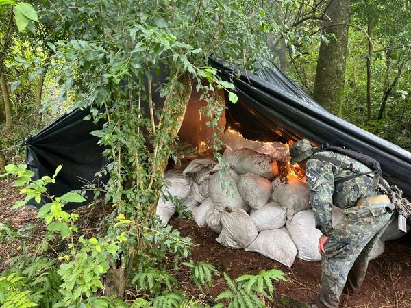 Operación "Escudo Guaraní" golpea a organizaciones criminales en Amambay