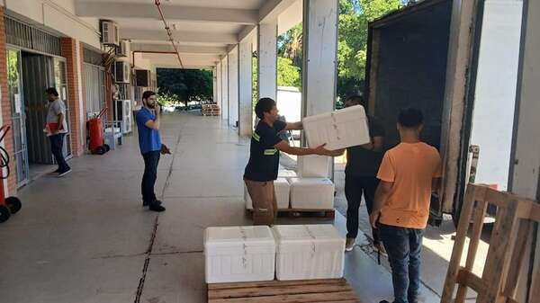 IPS gestiona licitación de 212 fármacos para asegurar stock; hay 152 ítems con stock cero - Nacionales - ABC Color