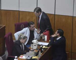 Senado recula y acepta veto a flexibilizar español y guaraní a estudiantes brasileros - Política - ABC Color