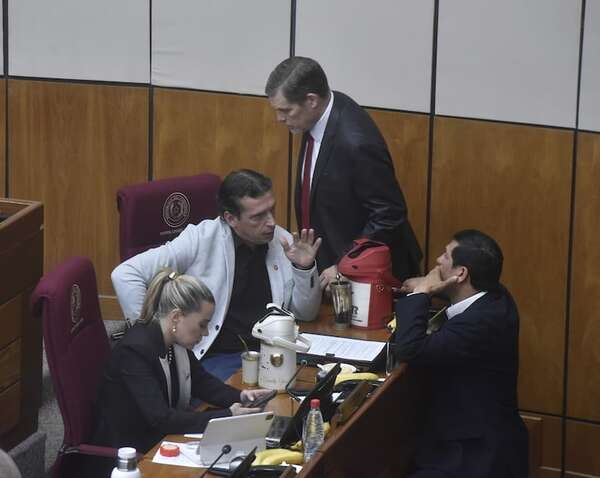 Senado recula y acepta veto a flexibilizar español y guaraní a estudiantes brasileros - Política - ABC Color