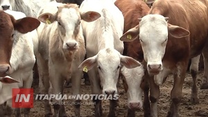 SENACSA MANTIENE ALERTA SANITARIA Y APUNTA A MEJORAR EL ESTATUS GANADERO DEL PAÍS