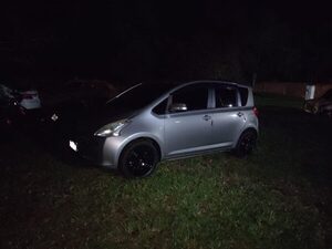 Pillan a pareja desnuda en automóvil