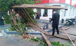Camión destroza portal de la Peatonal de Luque •