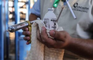 APPEC advierte sobre riesgos globales y defiende la vacunación de la fiebre aftosa como pilar sanitario en Paraguay