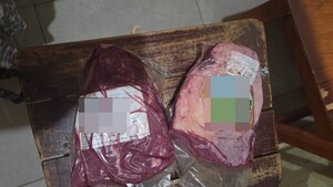 En su ley: Robó, se le escapó un tiro ahí mismo y se quedaría sin su "amigo"