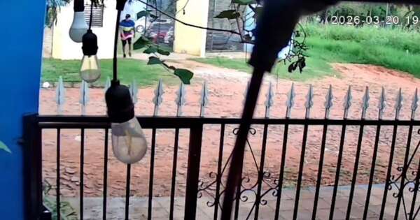 Diario HOY | Imputan a otros dos hinchas de Luque por ataque con petardos a jugadores