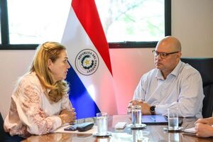 Gobierno coordina pago a farmacéuticas para garantizar provisión de medicamentos - El Trueno