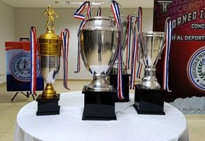 La Asociación de Profesores de Educación Física lanzó torneo intercolegial - Concepción al Día