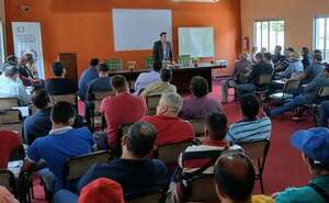 Camioneros denuncian que trabajan a pérdida y esperan reajuste de la carta flete - Nacionales - ABC Color