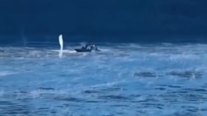 Video: Una militar argentina fue herida en tiroteo con contrabandistas paraguayos