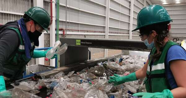 La Nación / Industria sustentable moviliza más de USD 170 millones y apunta a escalar su impacto en Paraguay