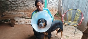 "Fue en defensa propia": Vecino de San Isidro rompe el silencio tras denuncia de agresión a un perro