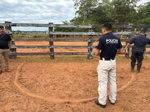 Cuatreros toman de rehén a trabajadores y roban 40 animales en una estancia de San Pedro - Policiales - ABC Color